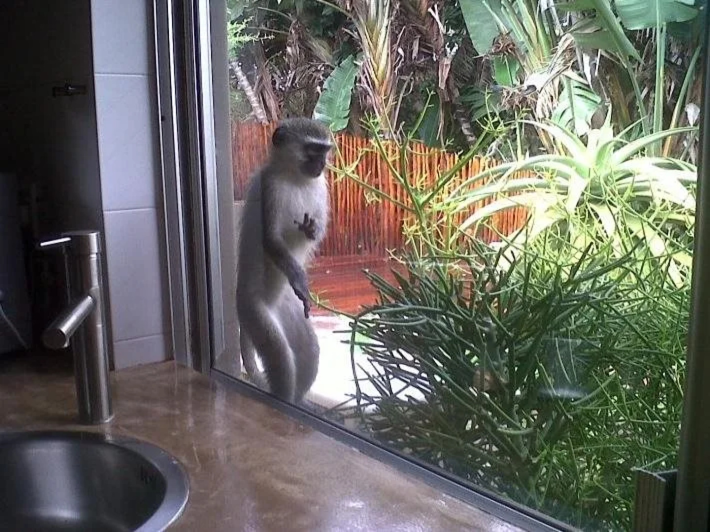 Al Marrakesh Guest House