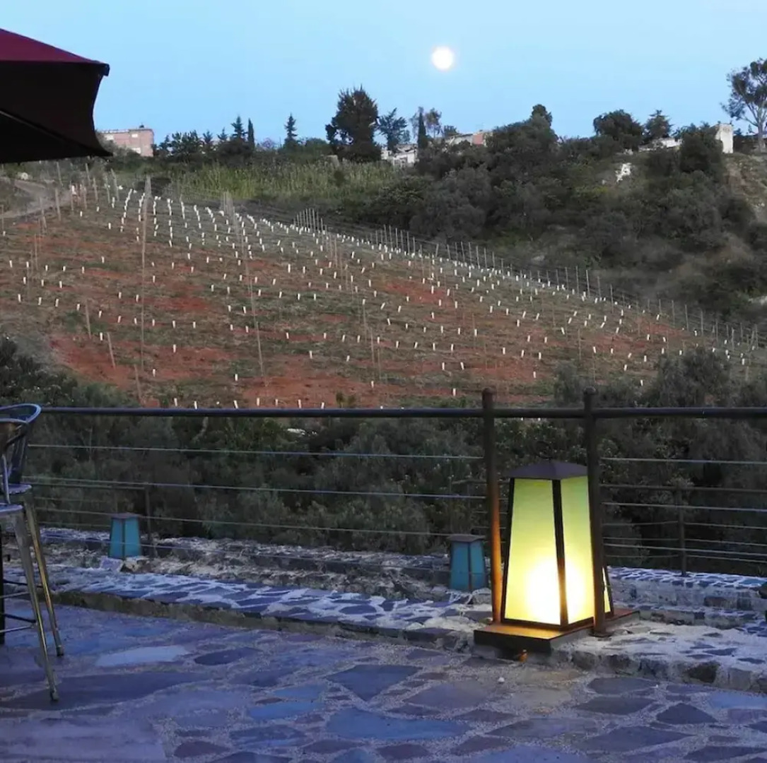 Hotel Camino de Vinos