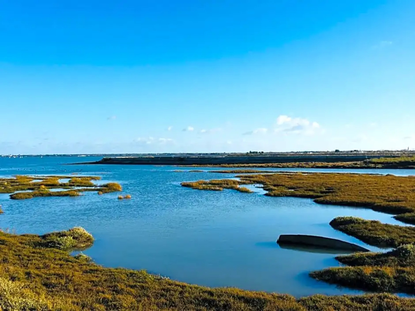 Maison d’hôtes Les Ajoncs