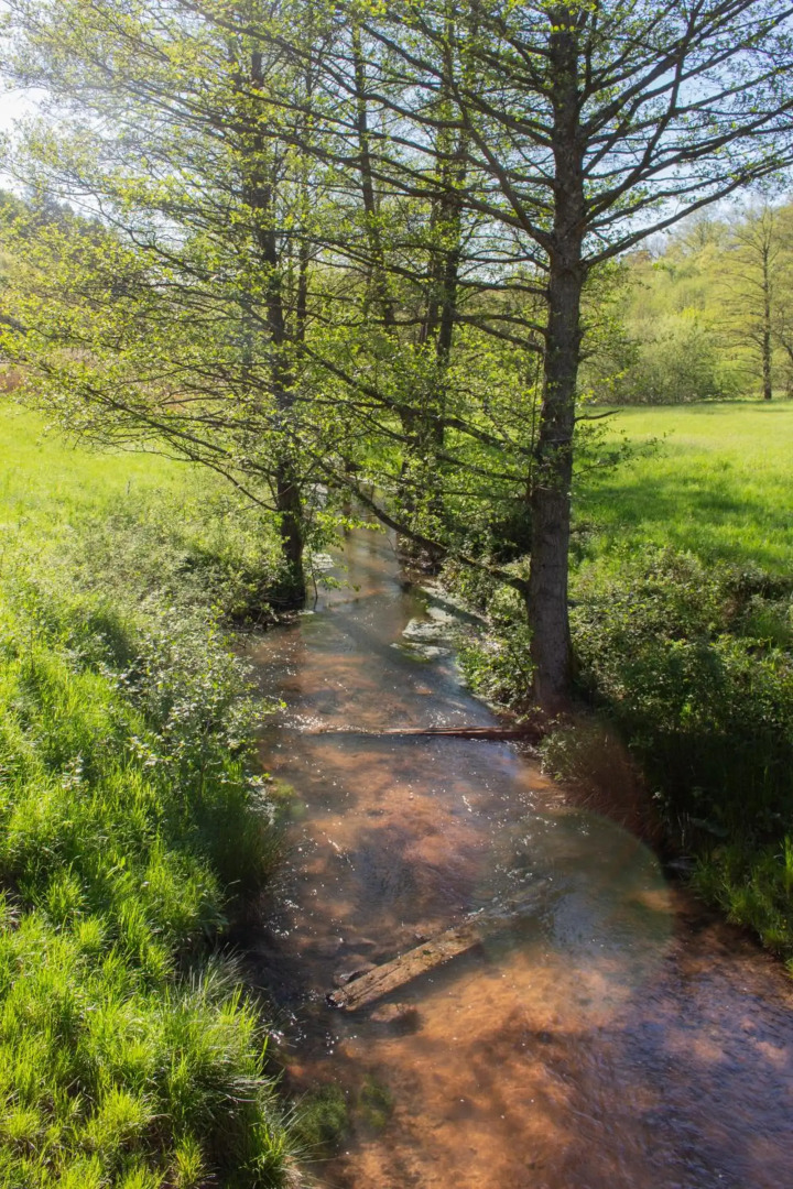 Wonderful Apartment With Great Location