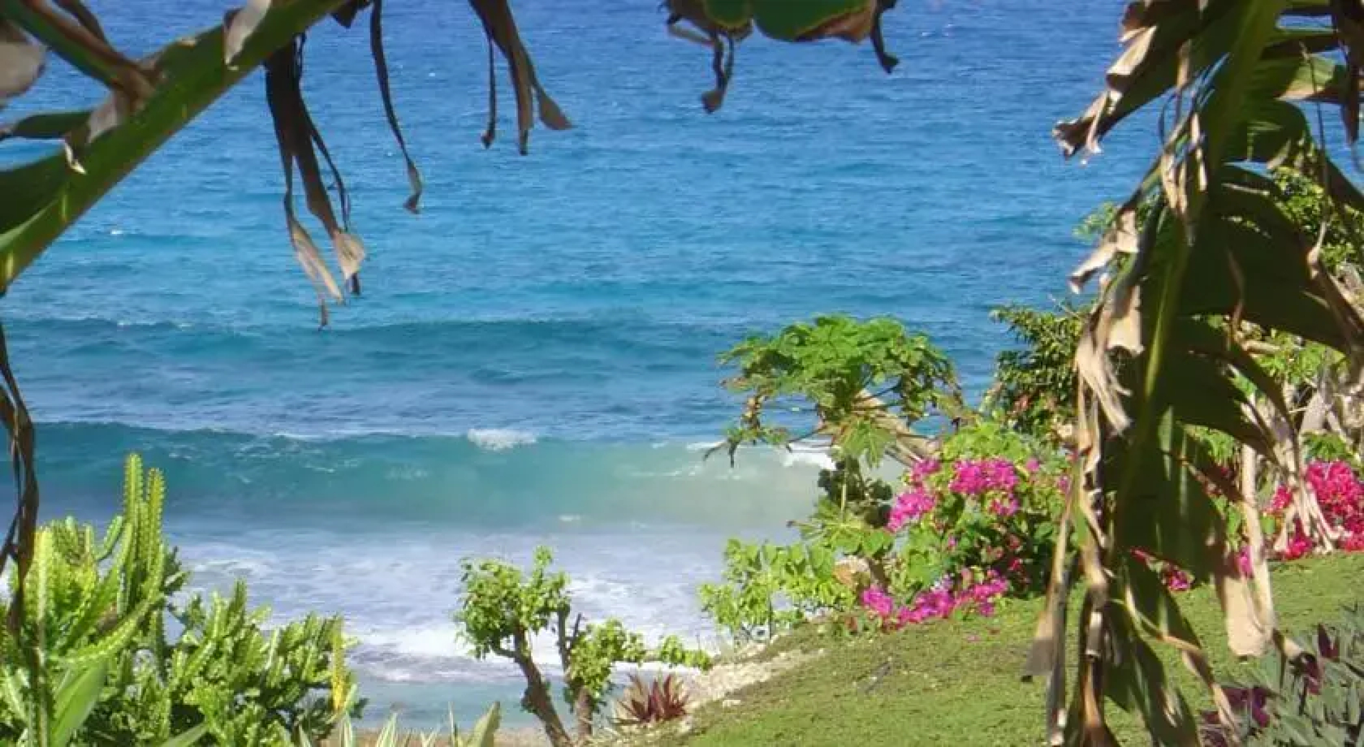 Domaine du Vieux Mole