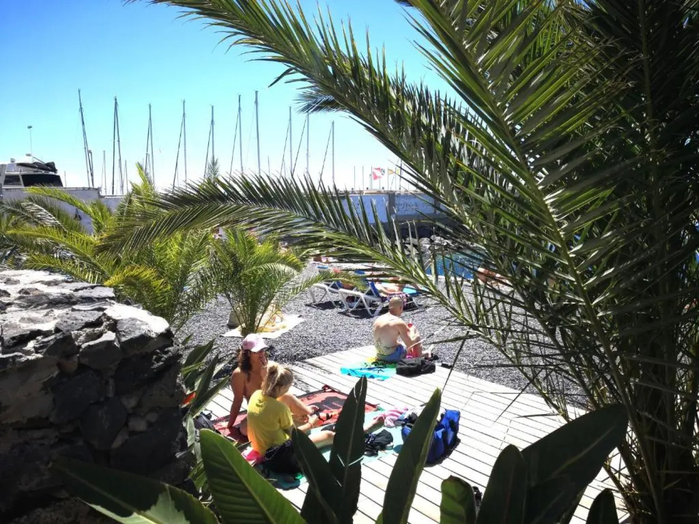 Tabaiba Alta 180 degrees views