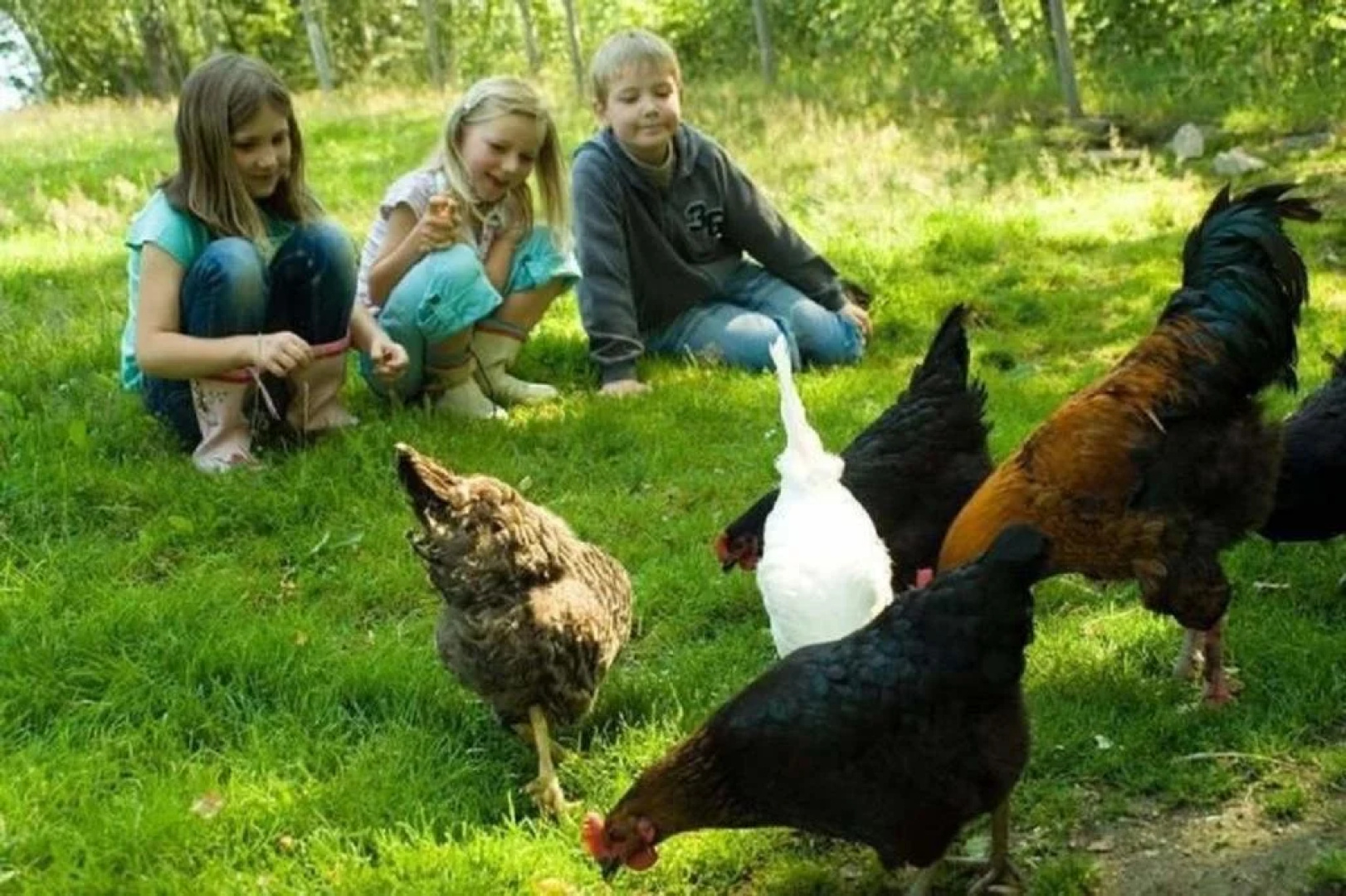 Kinderparadies Habernberger Hof