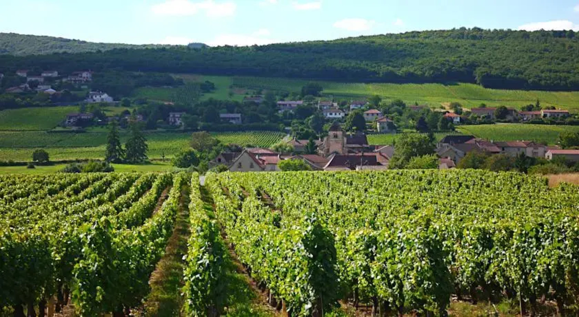 Bed and Breakfast - Le Bourg