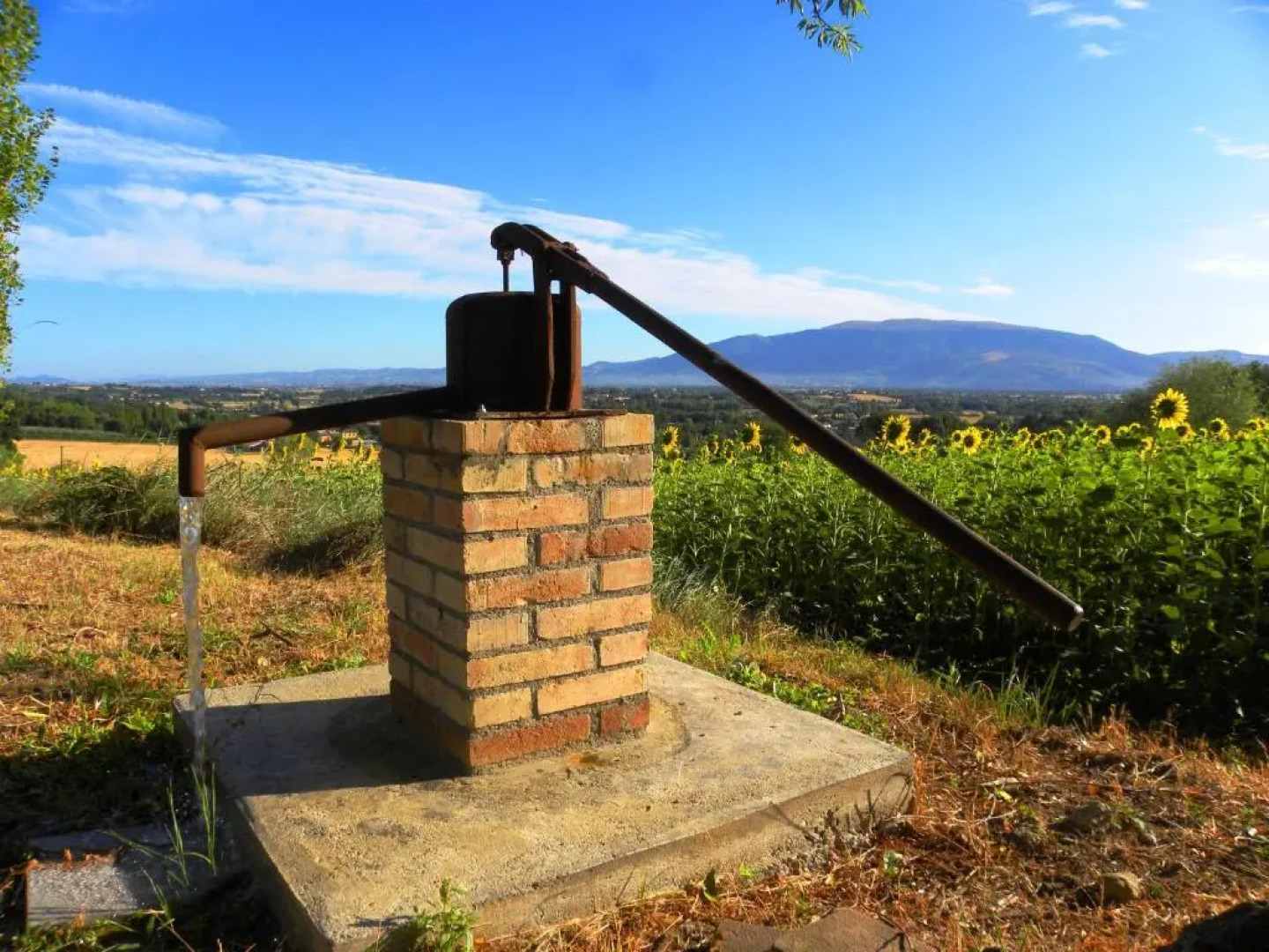 Appartamenti Verde Collina Umbra