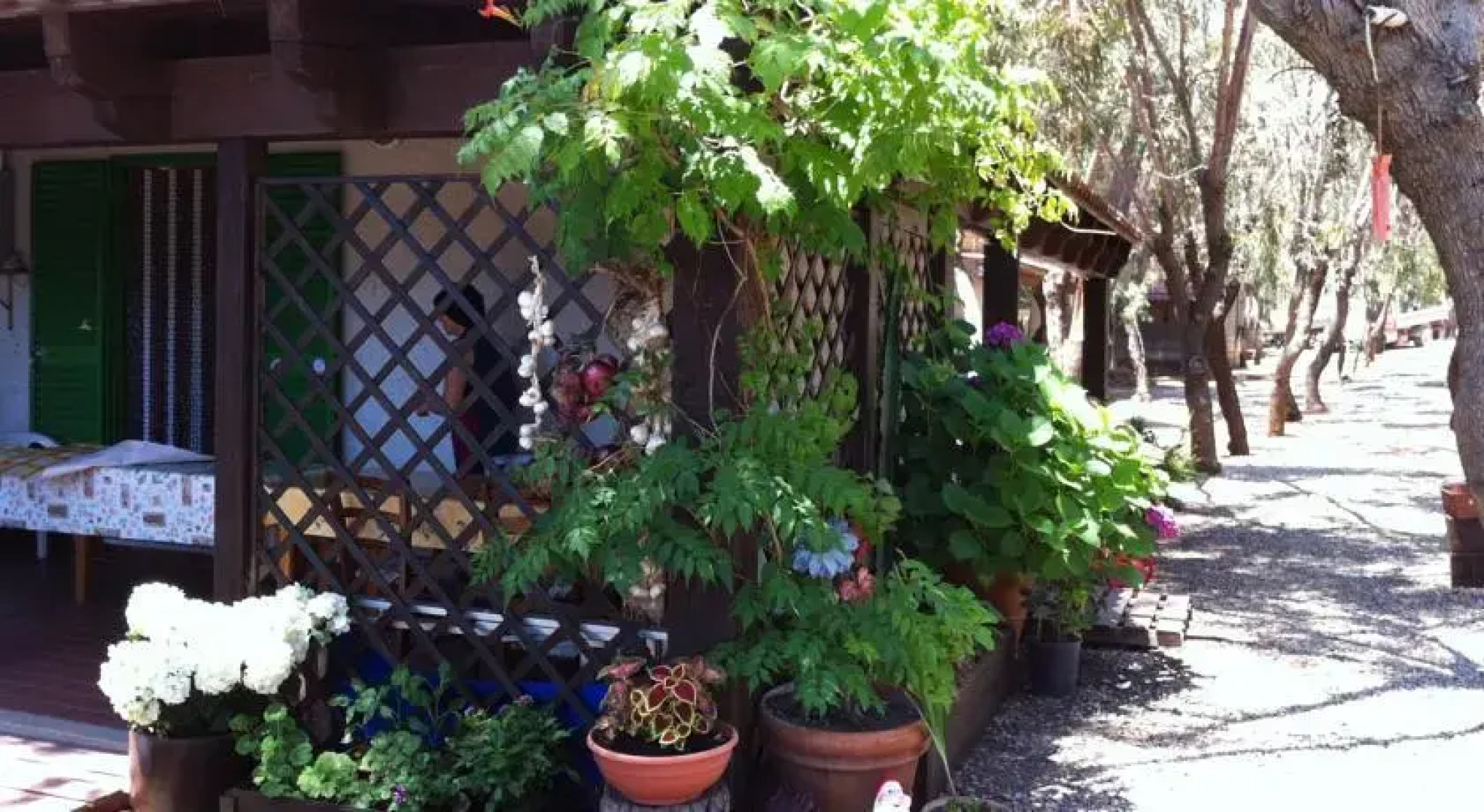 Villaggio Camping Le Mimose