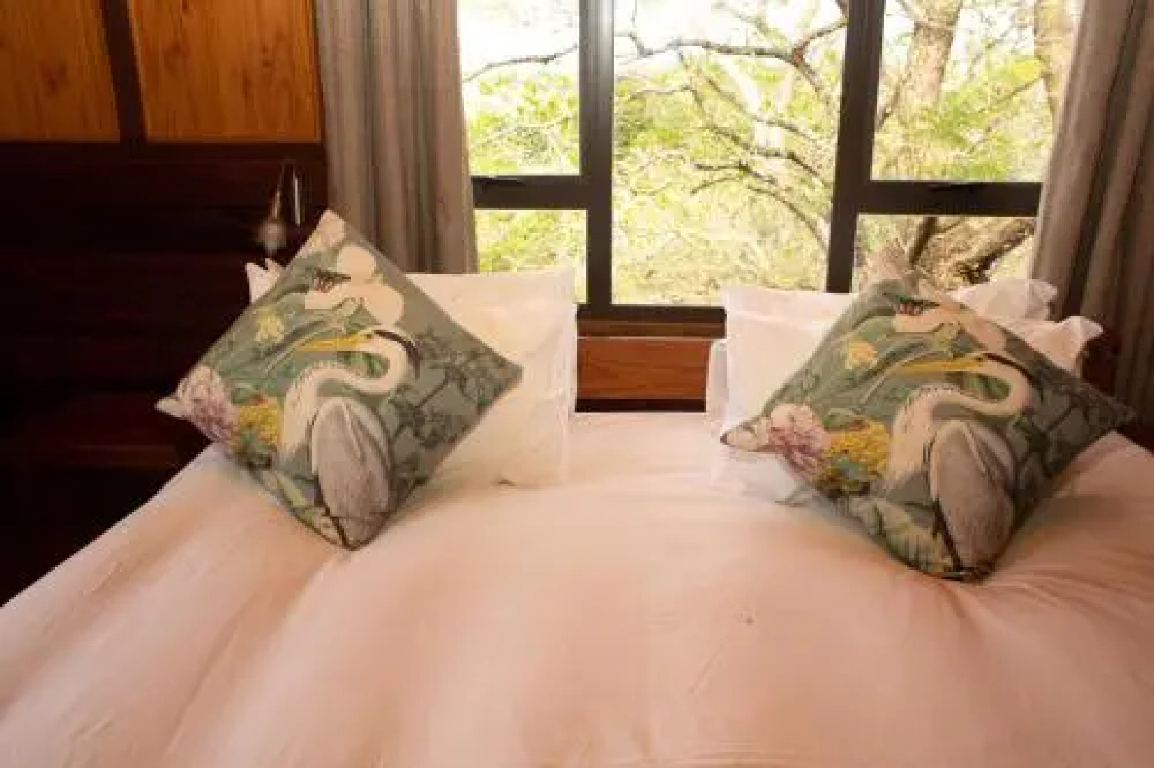 Sodwanabay Lodge House 58