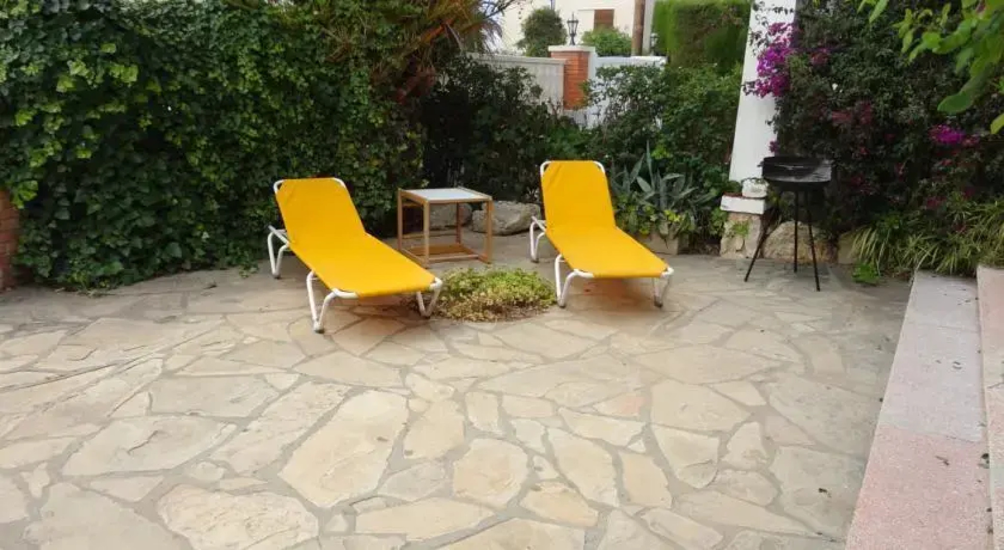 Anforas Mar Can Puig