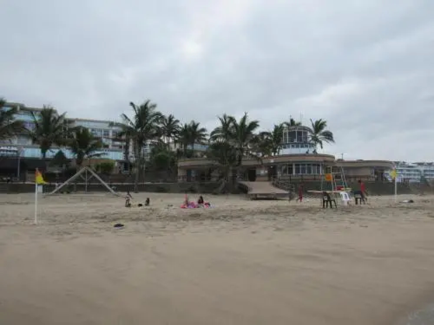 Dolphin View 308