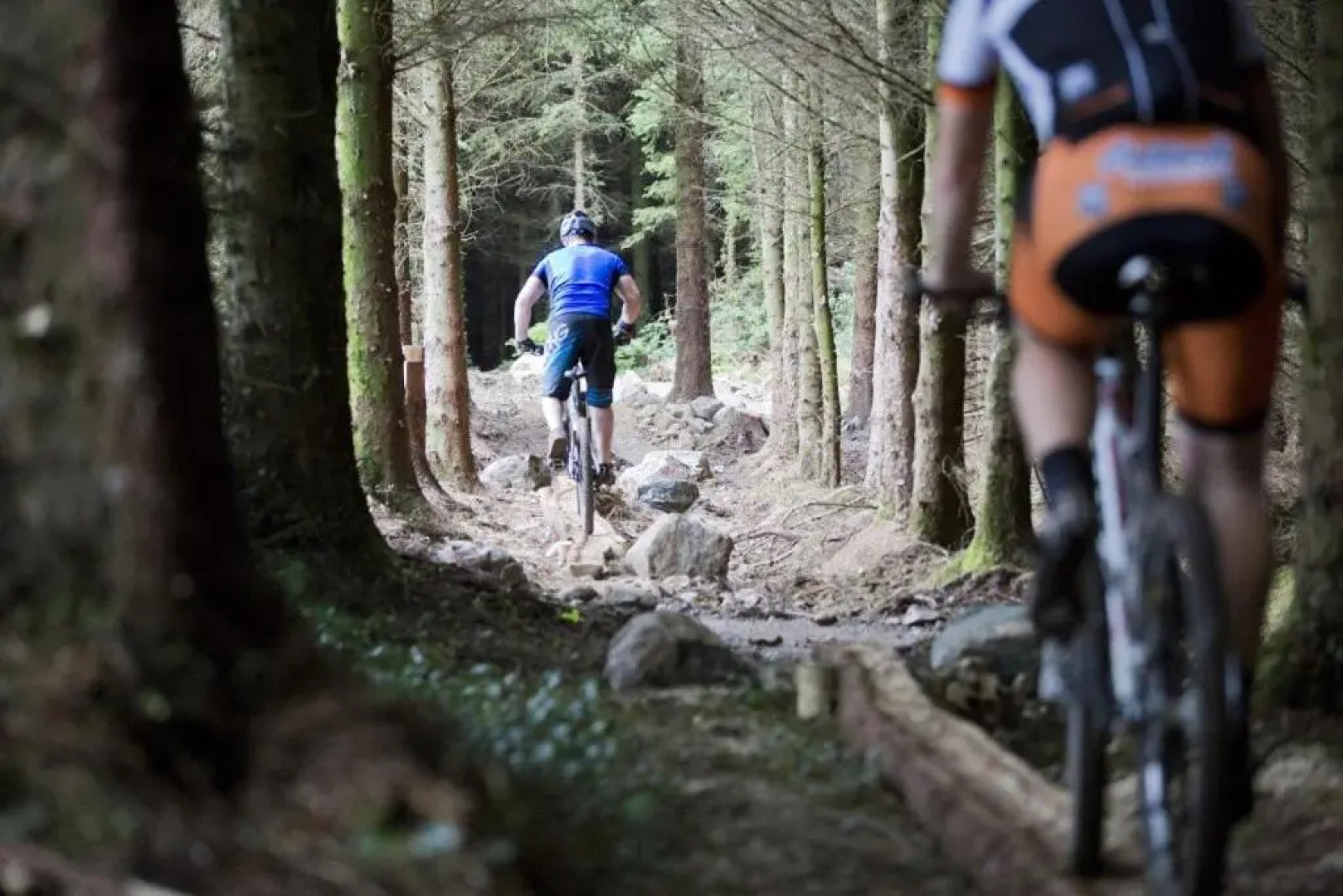 The Valley Hotel & Carriage Gardens