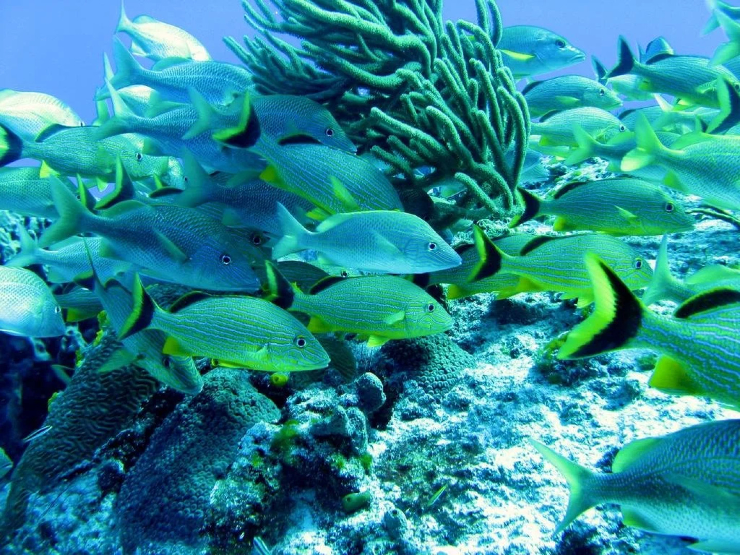 Guidos Boutique Hotel