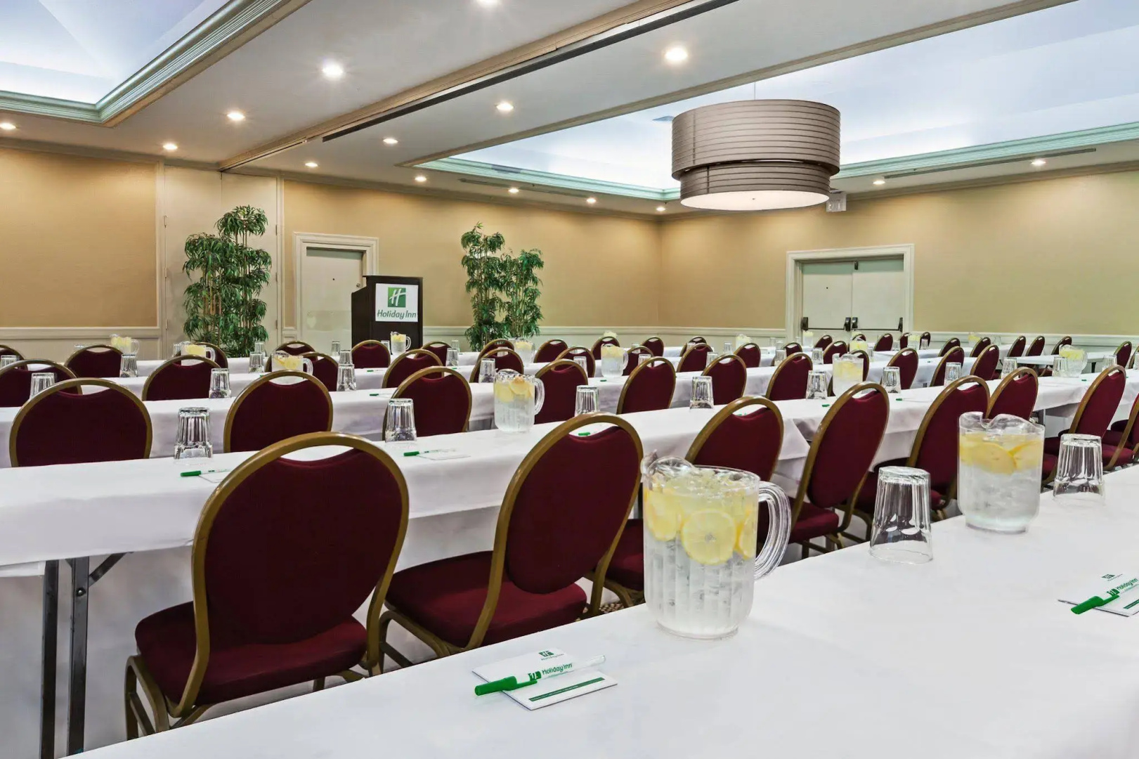 Holiday Inn Tyler-Conference Center by IHG
