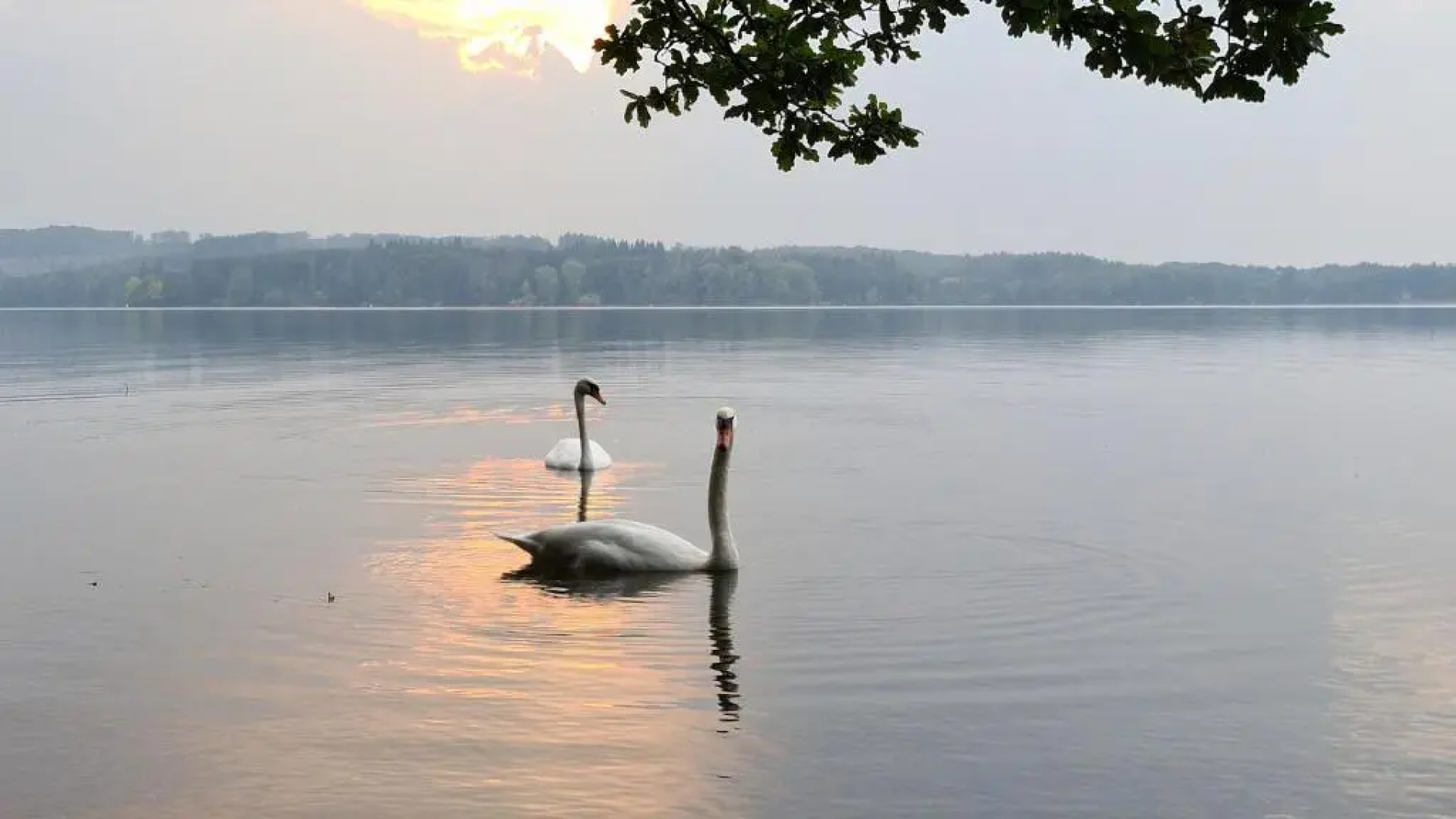 Ferienwohnung Seeloft am Möhnesee