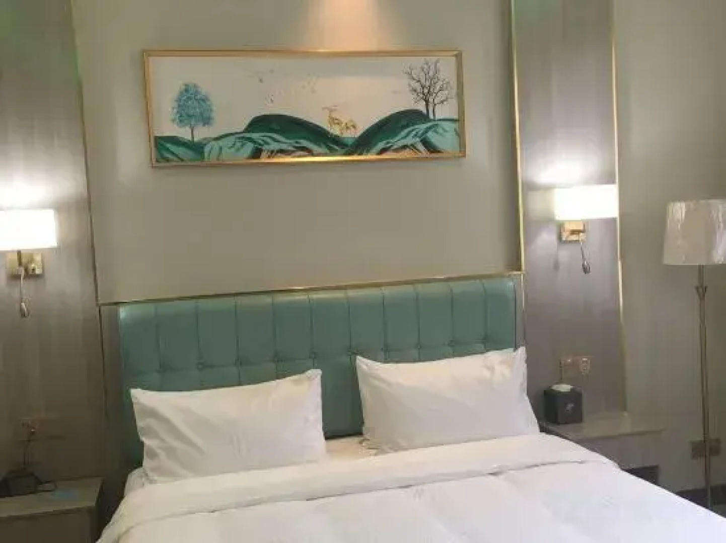 Suizhou Green Flying Hotel (Wanda Plaza Store)