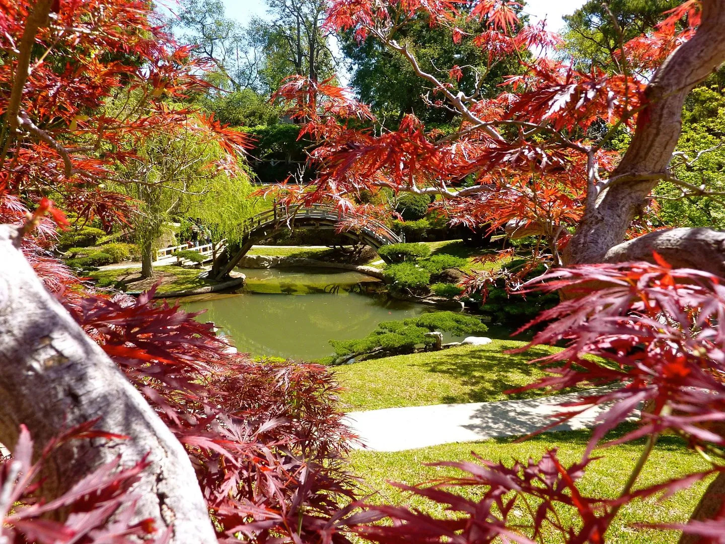 Best Western Pasadena Inn