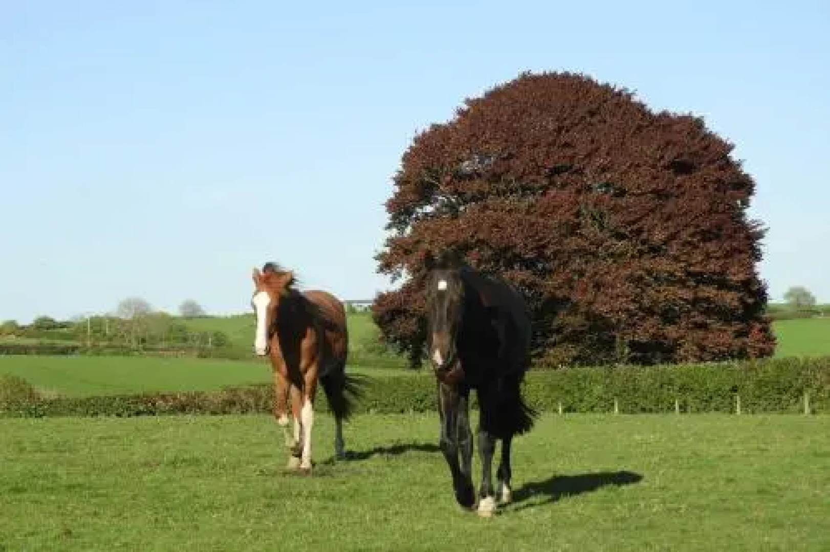 The West Wing at Trevadlock Manor