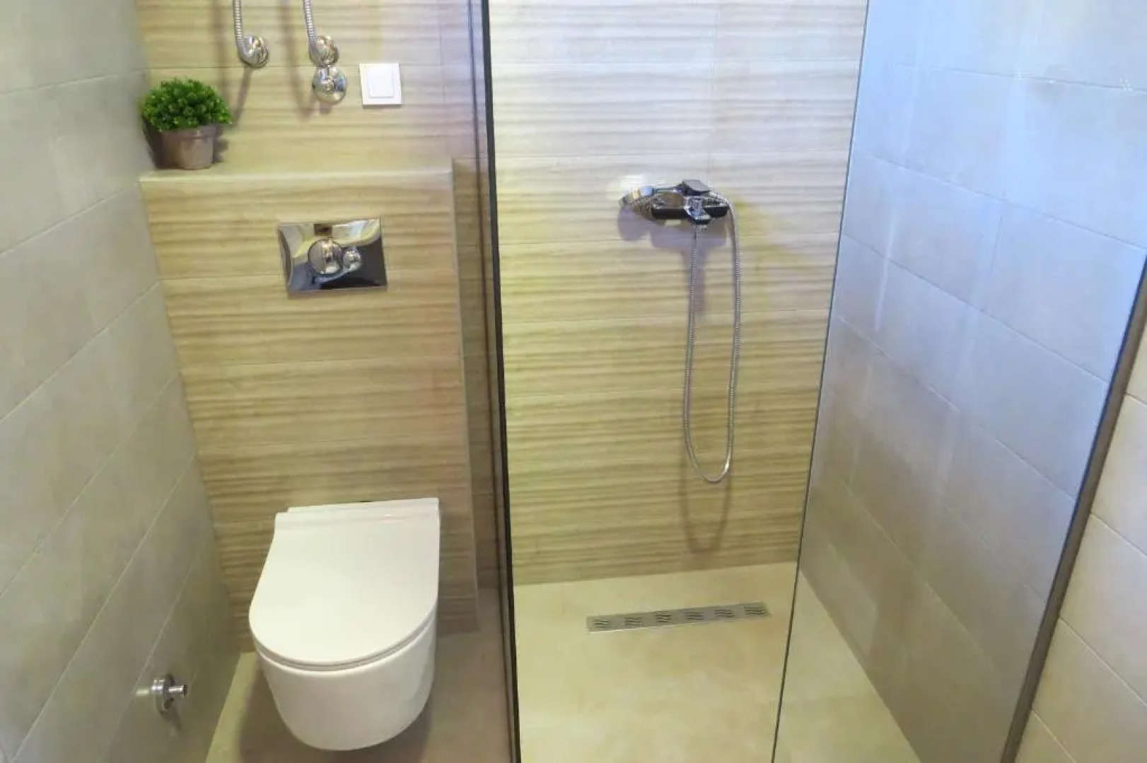 Delightful Studio Sara