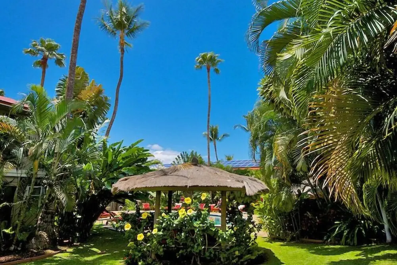 Aina Nalu I109 by RedAwning