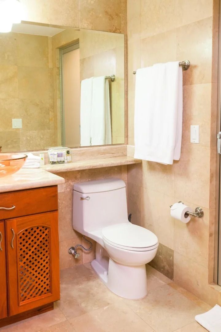 Lawson Rock Parrotfish 206