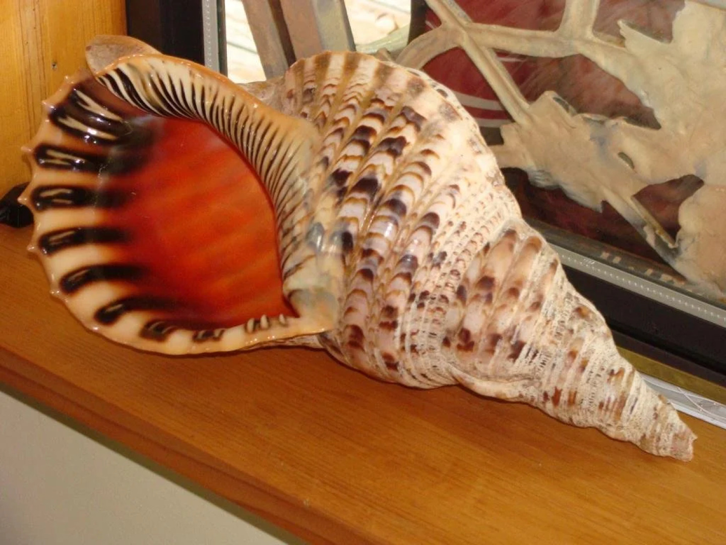 Estuary House Reflexology B&B