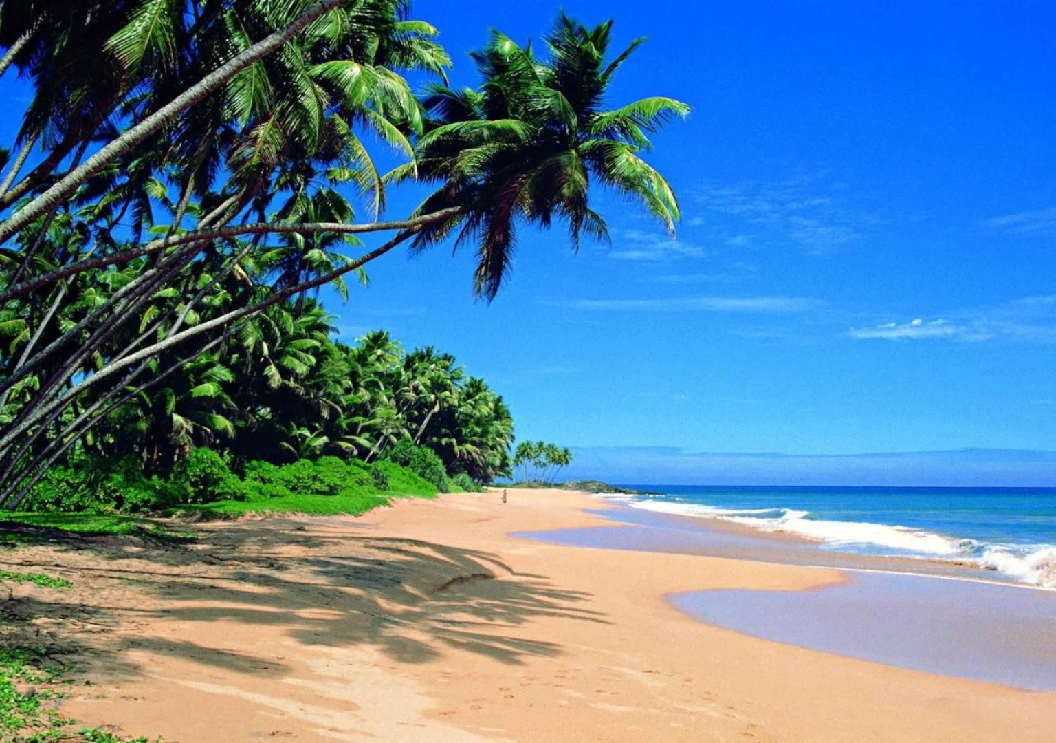 Villa White Queen Resort & Spa