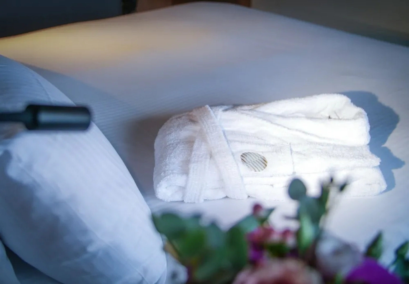 Hotel Pullman Bordeaux Lac