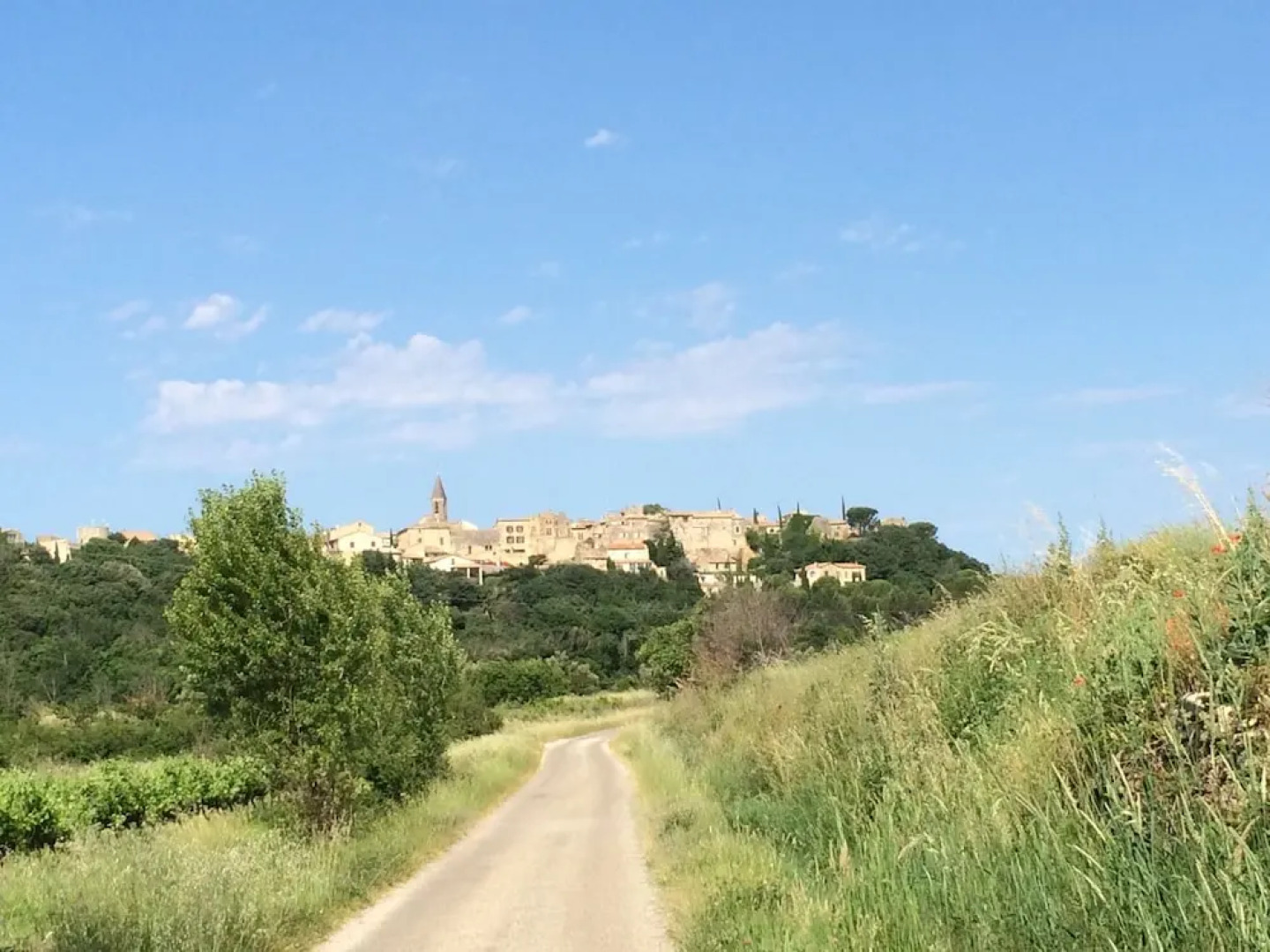 House With 4 Bedrooms in Castillon-du-gard, With Private Pool, Enclose