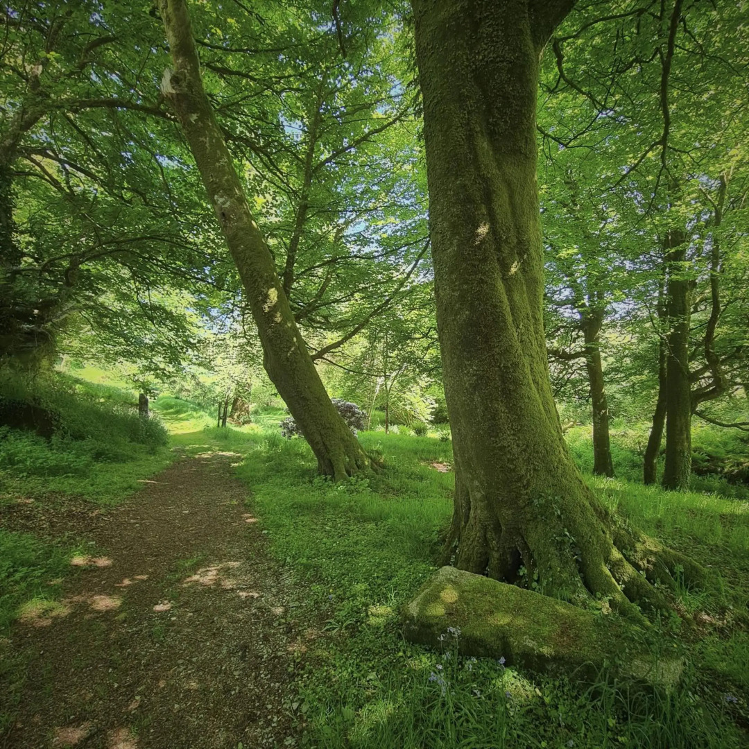 Ta Mill Holiday Cottages & Lodges - Forge Cottage