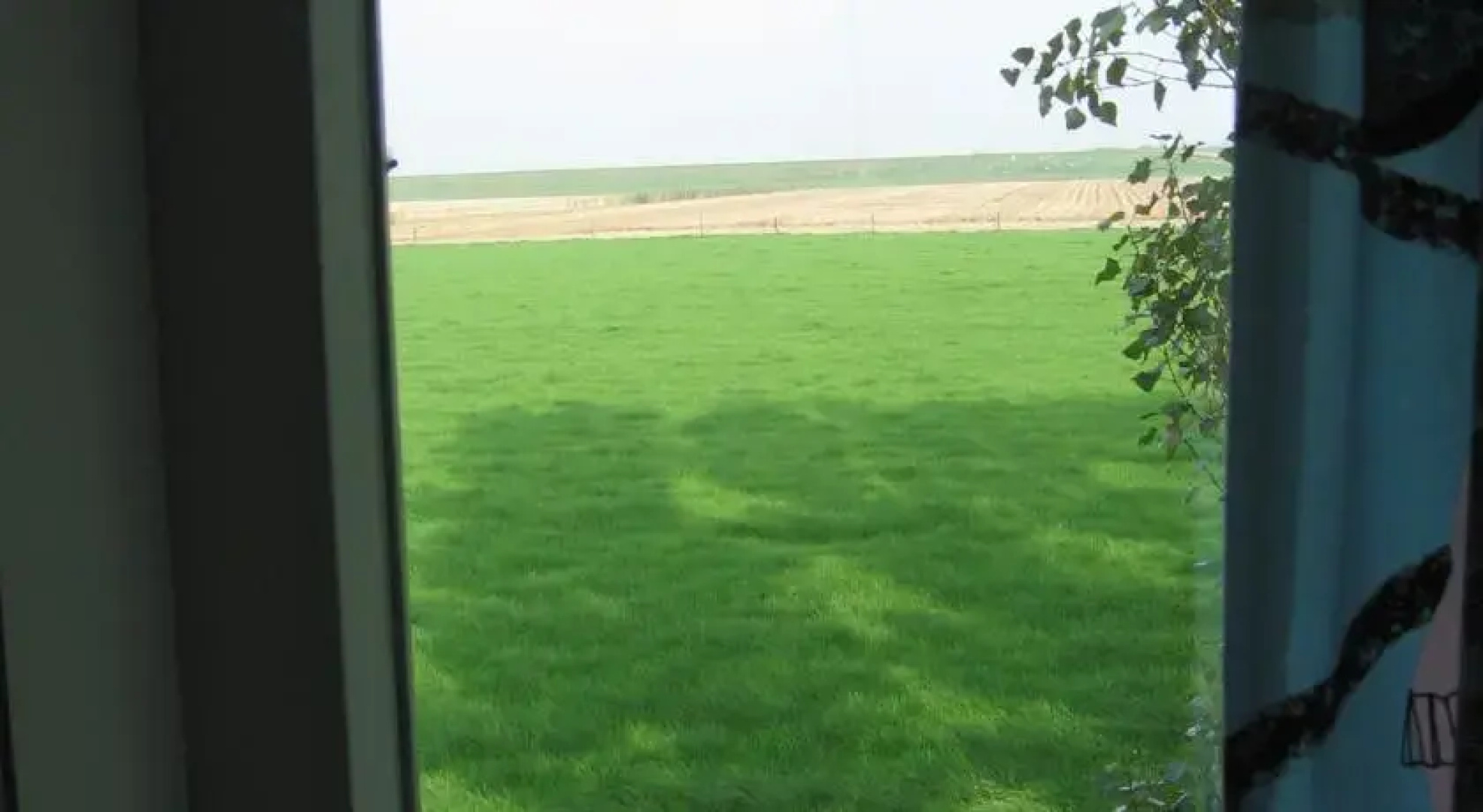 B&B The Middle of Nowhere