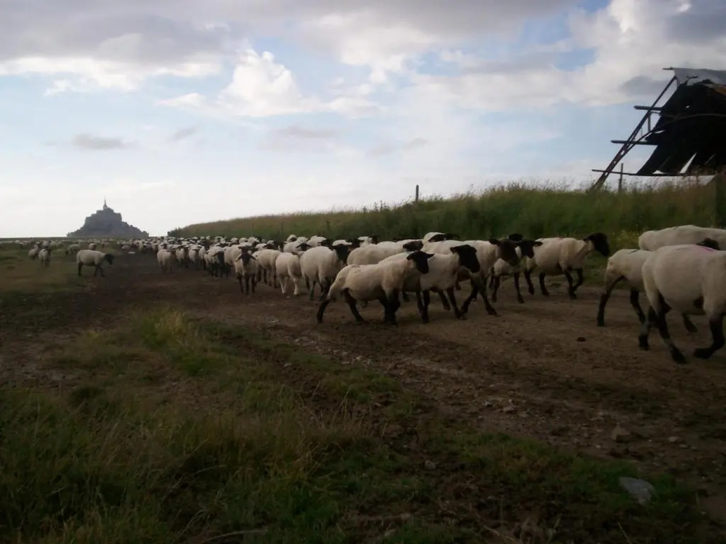 Chambres dHôtes Farcy