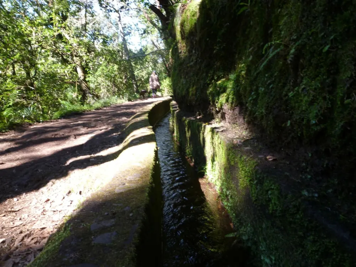 Studio Sea And Nature, Porto Da Cruz