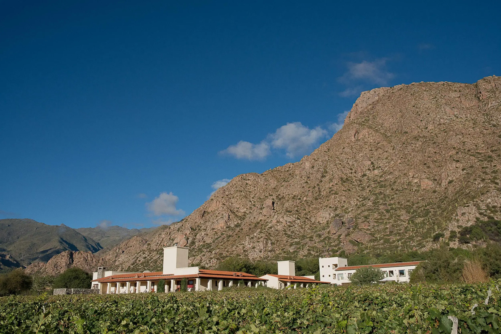 Viñas De Cafayate Wine Resort