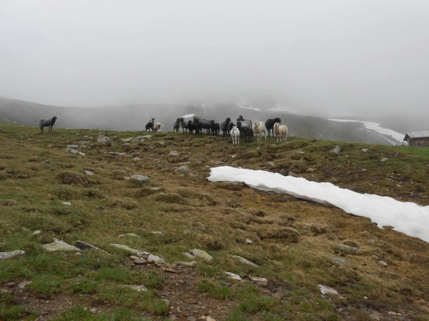 Ferienwohnungen Michaela Ortner