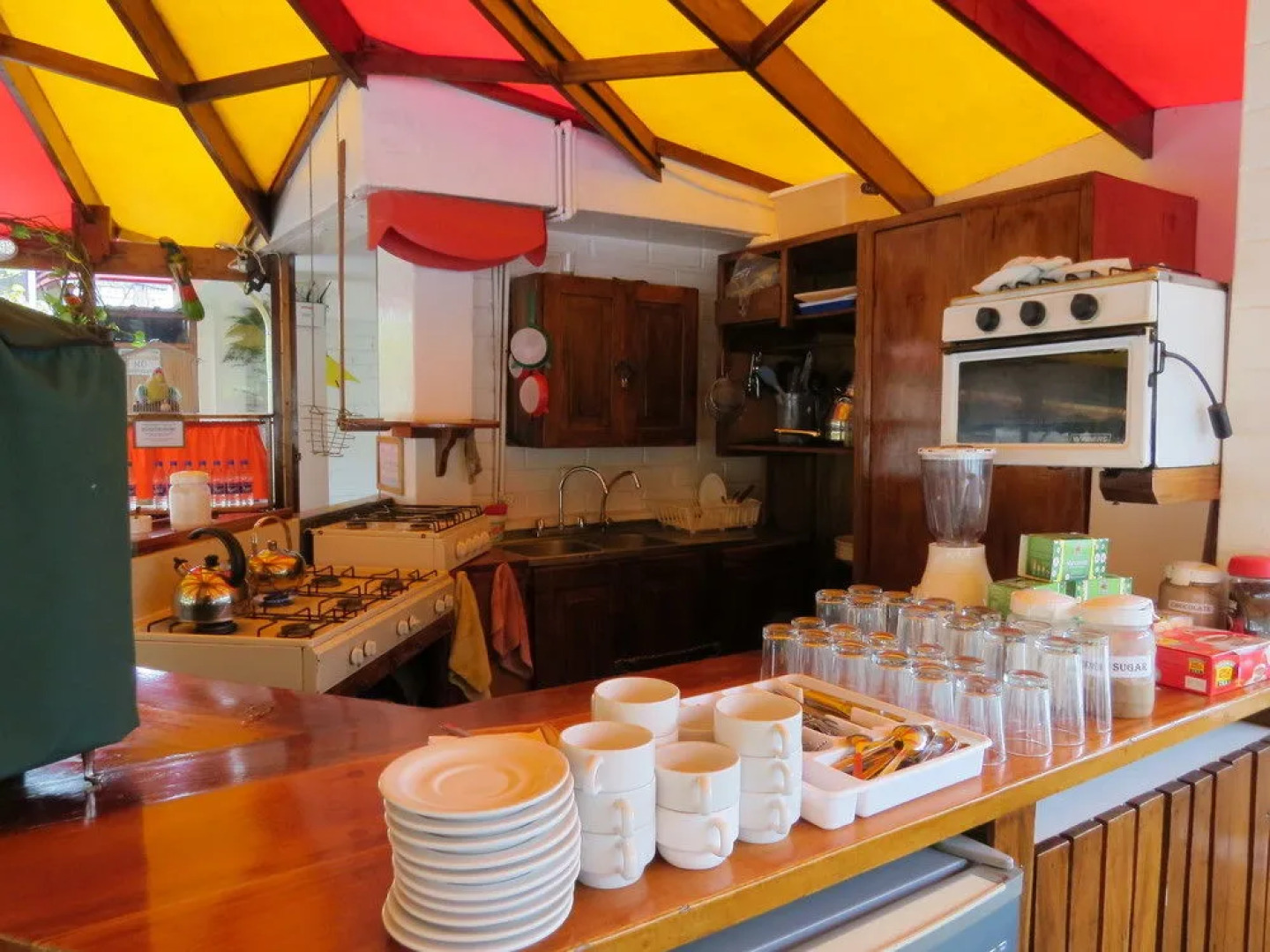 Hostal Plantas  Y Blanco