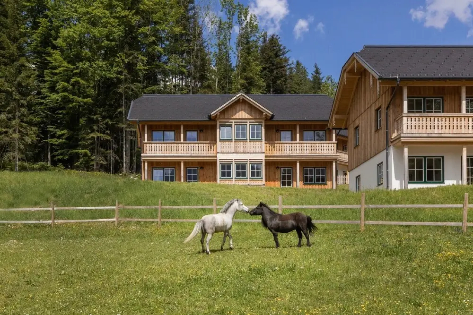 Your Holiday Home at Grundlsee and Private Sauna