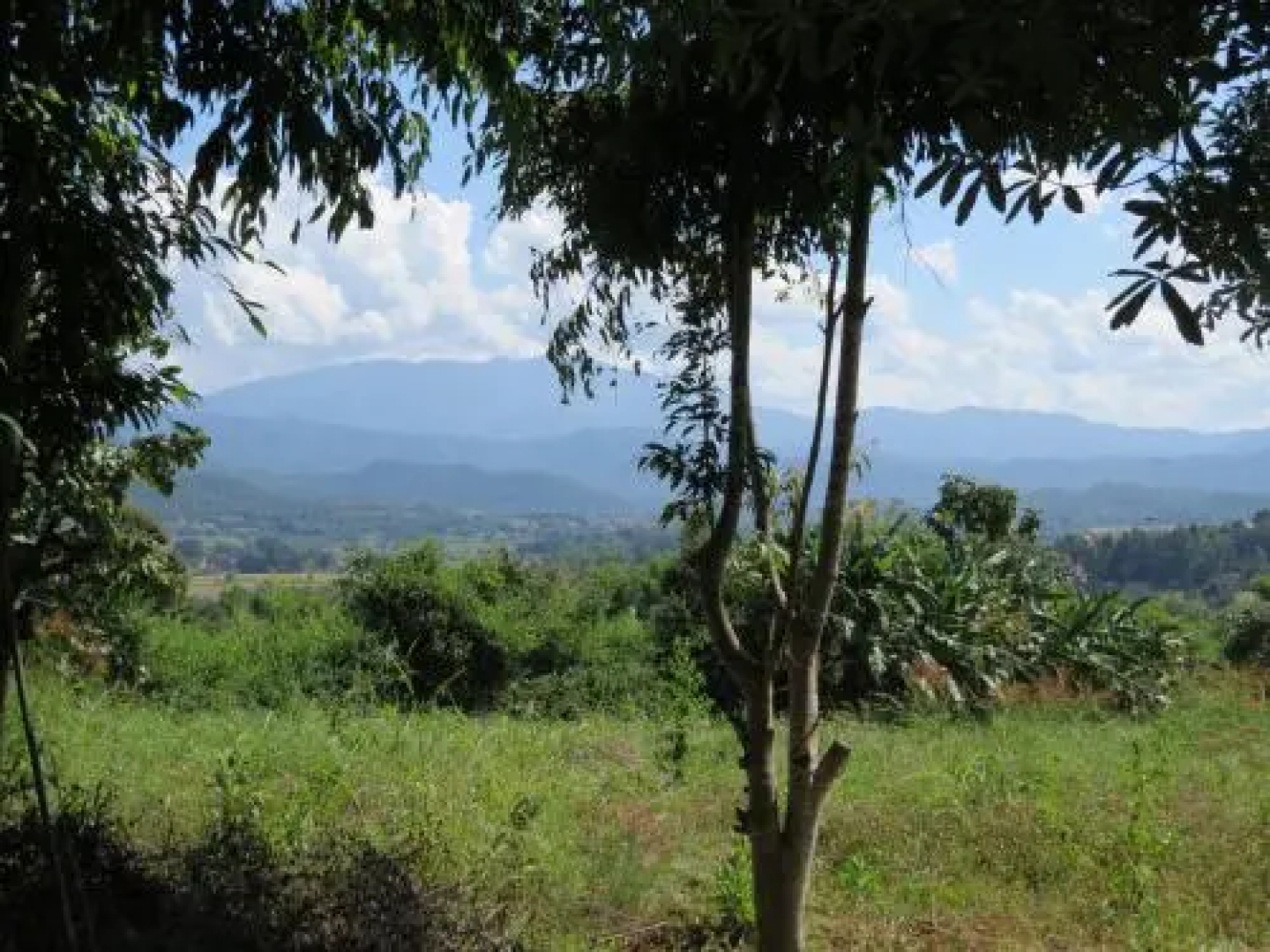 The Mountain View Backpacker Guest House