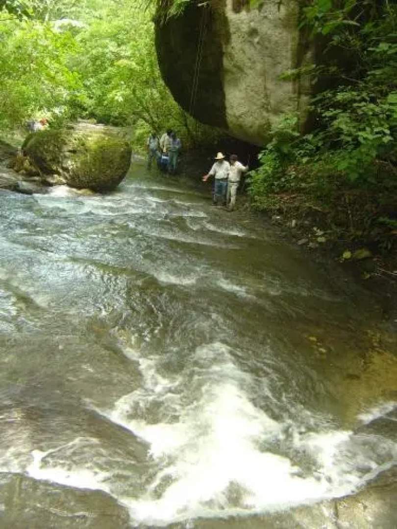 Ecoparque Agua Selva