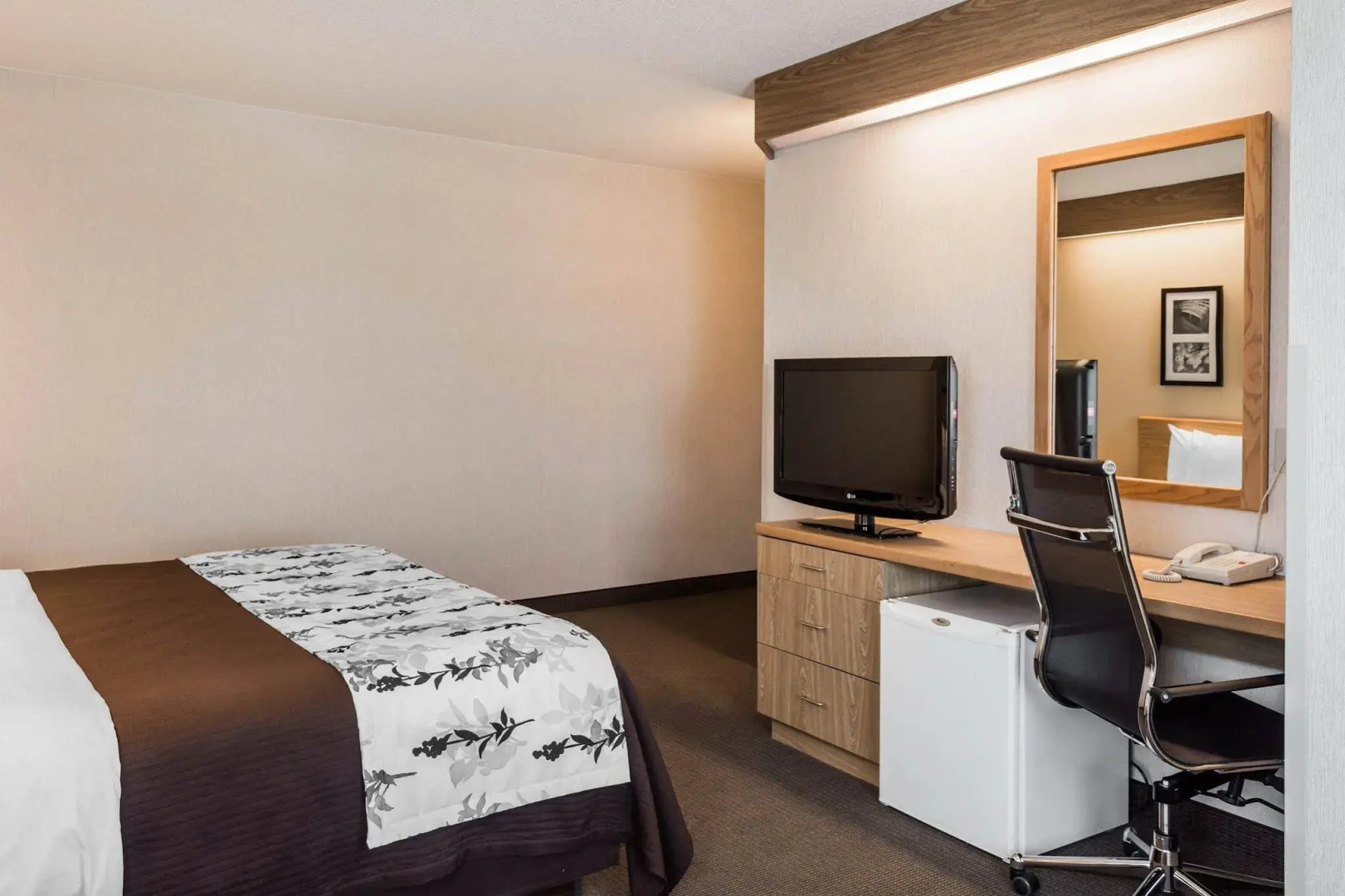 Spark by Hilton Lynchburg