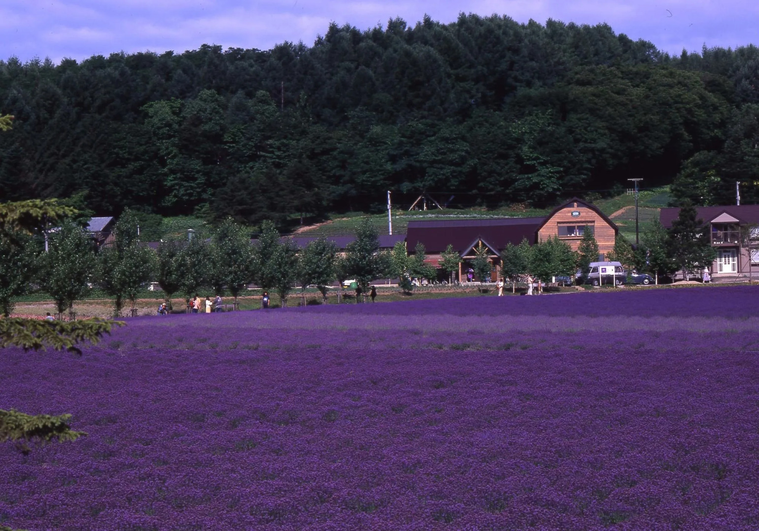 Furano Natulux Hotel