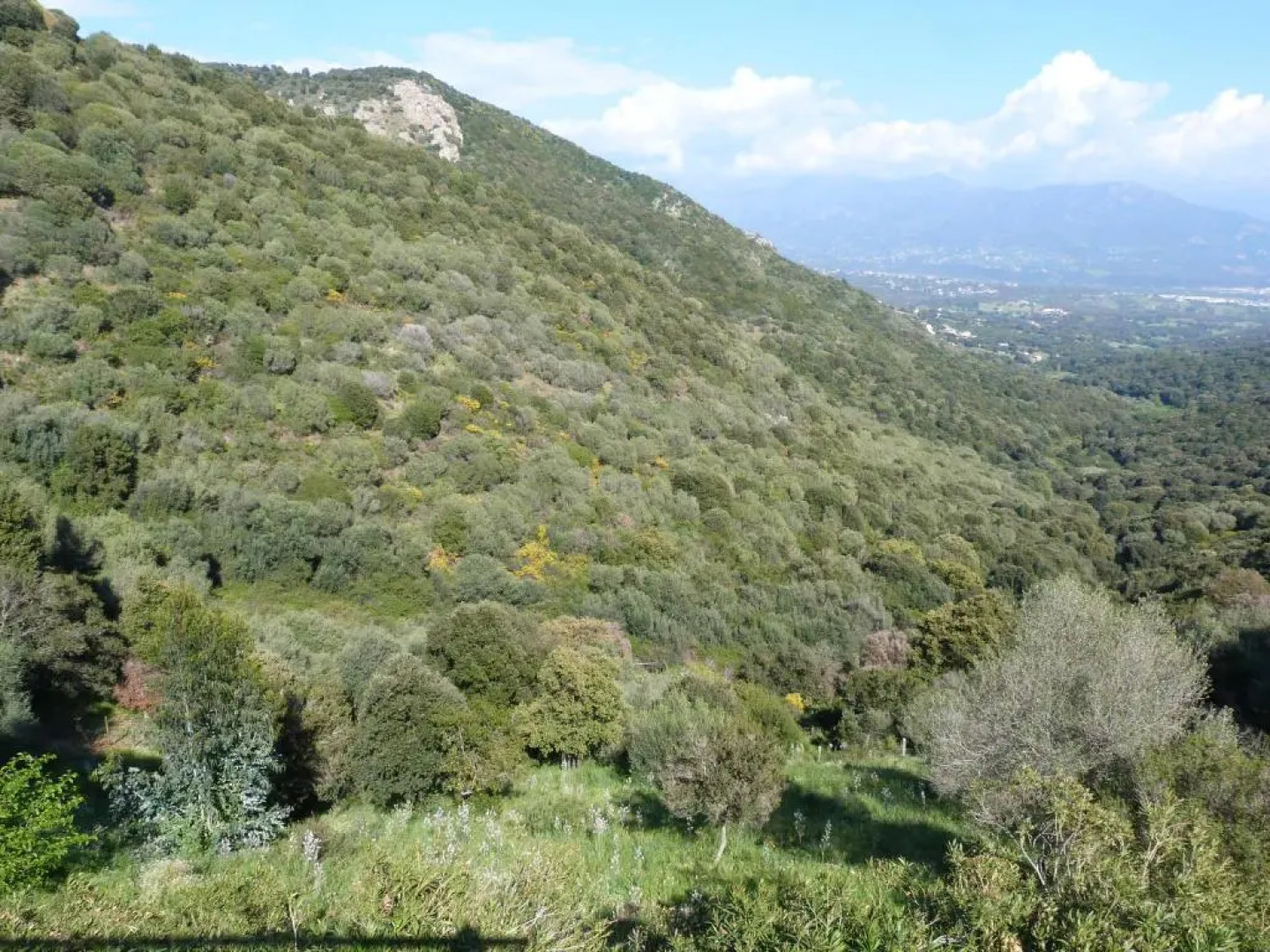 ELI&LOU avec piscine et voiture