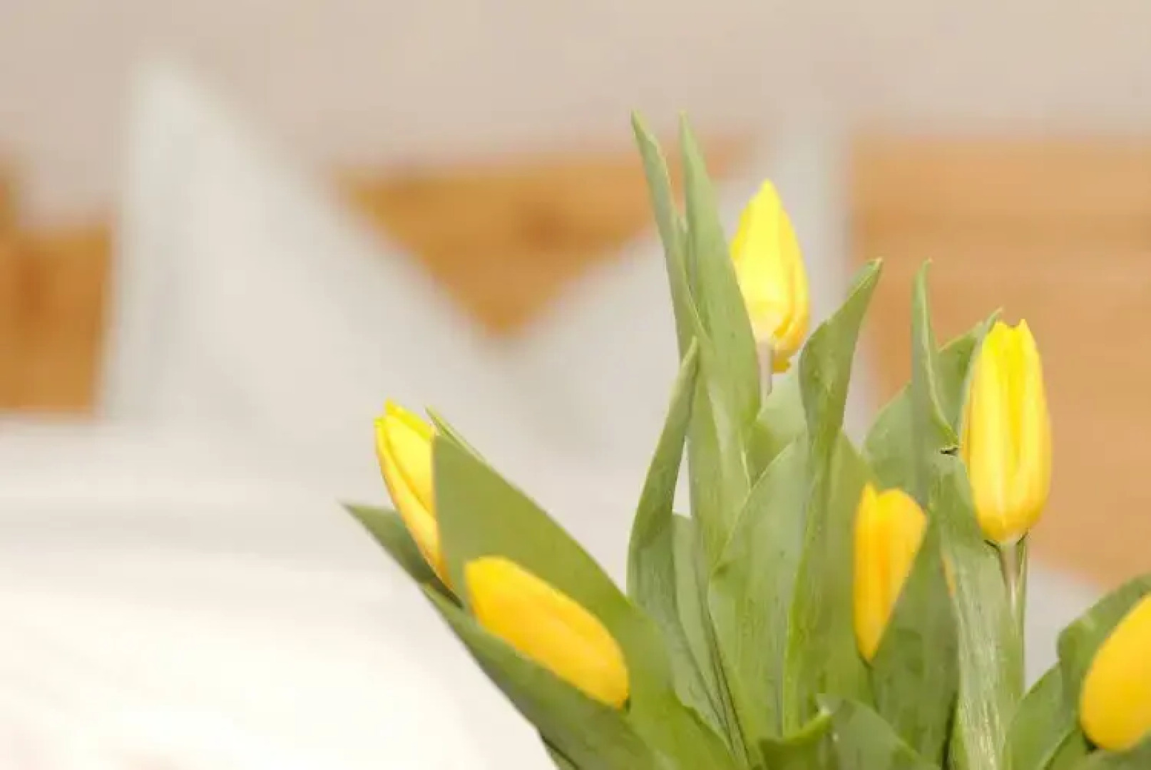 Waldgasthof & Hotel Am Sauwald