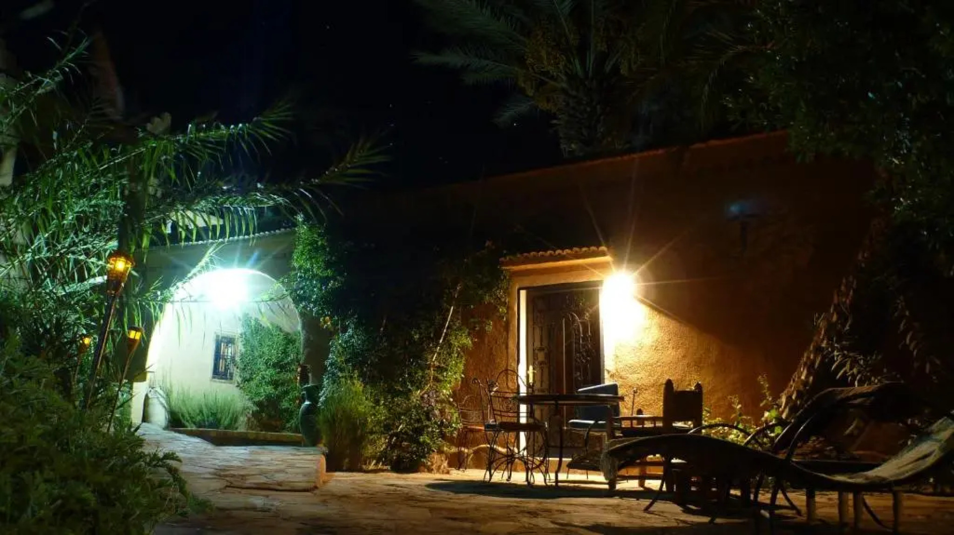 Le Chant Des Palmiers