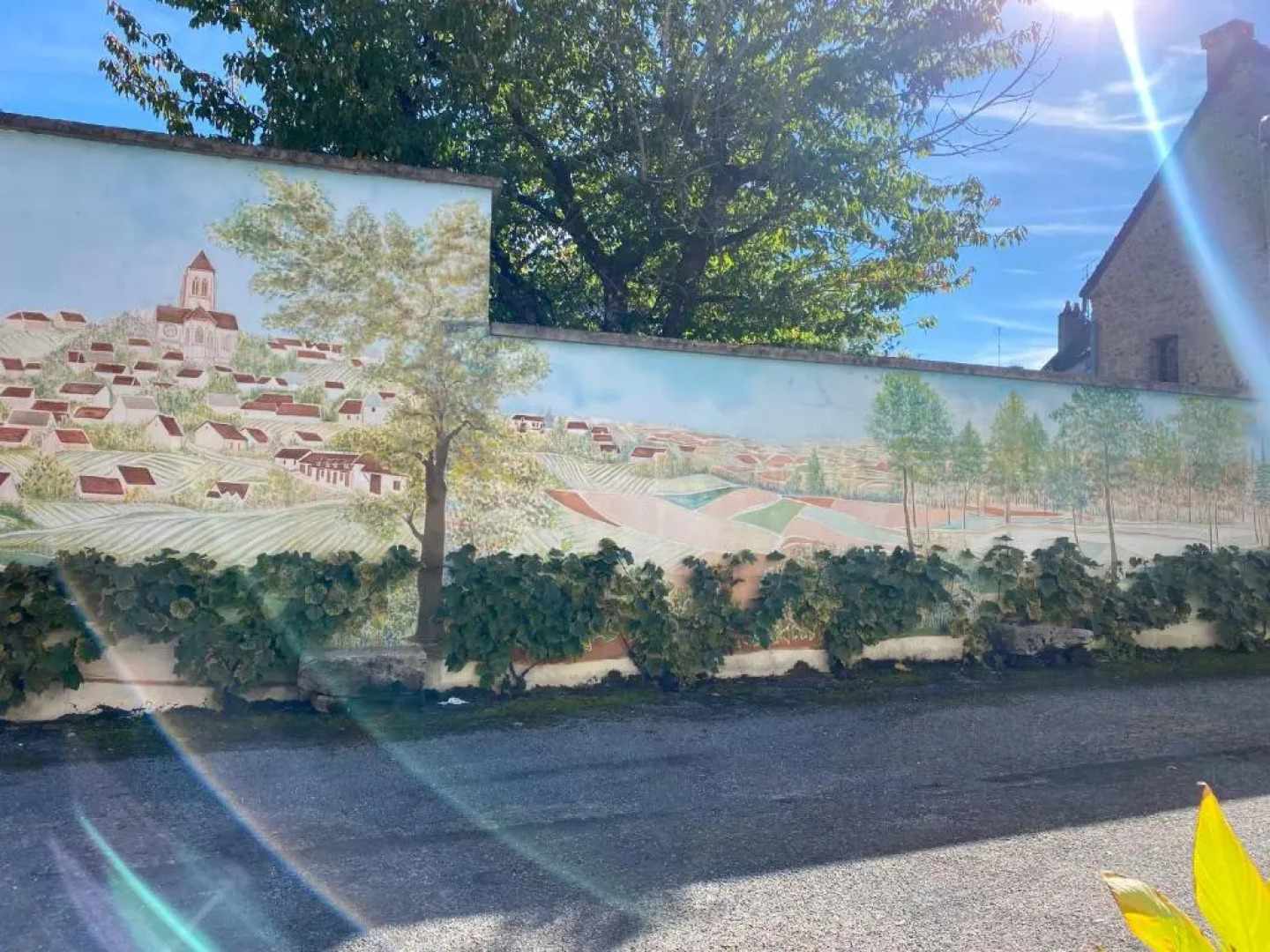 Domaine du Cellier de la Couronne