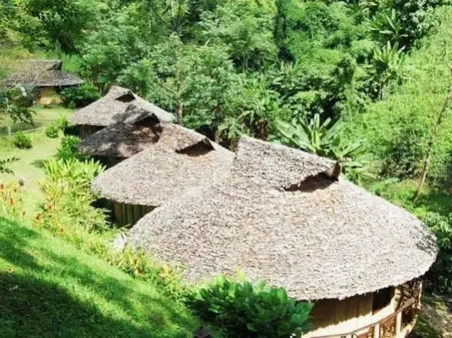 The Natural Healing Spa Retreat