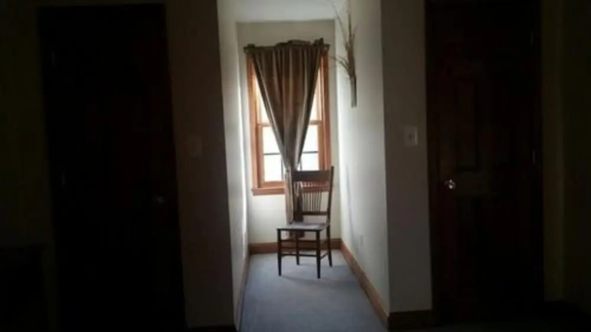 Lost Forest Bed and Breakfast