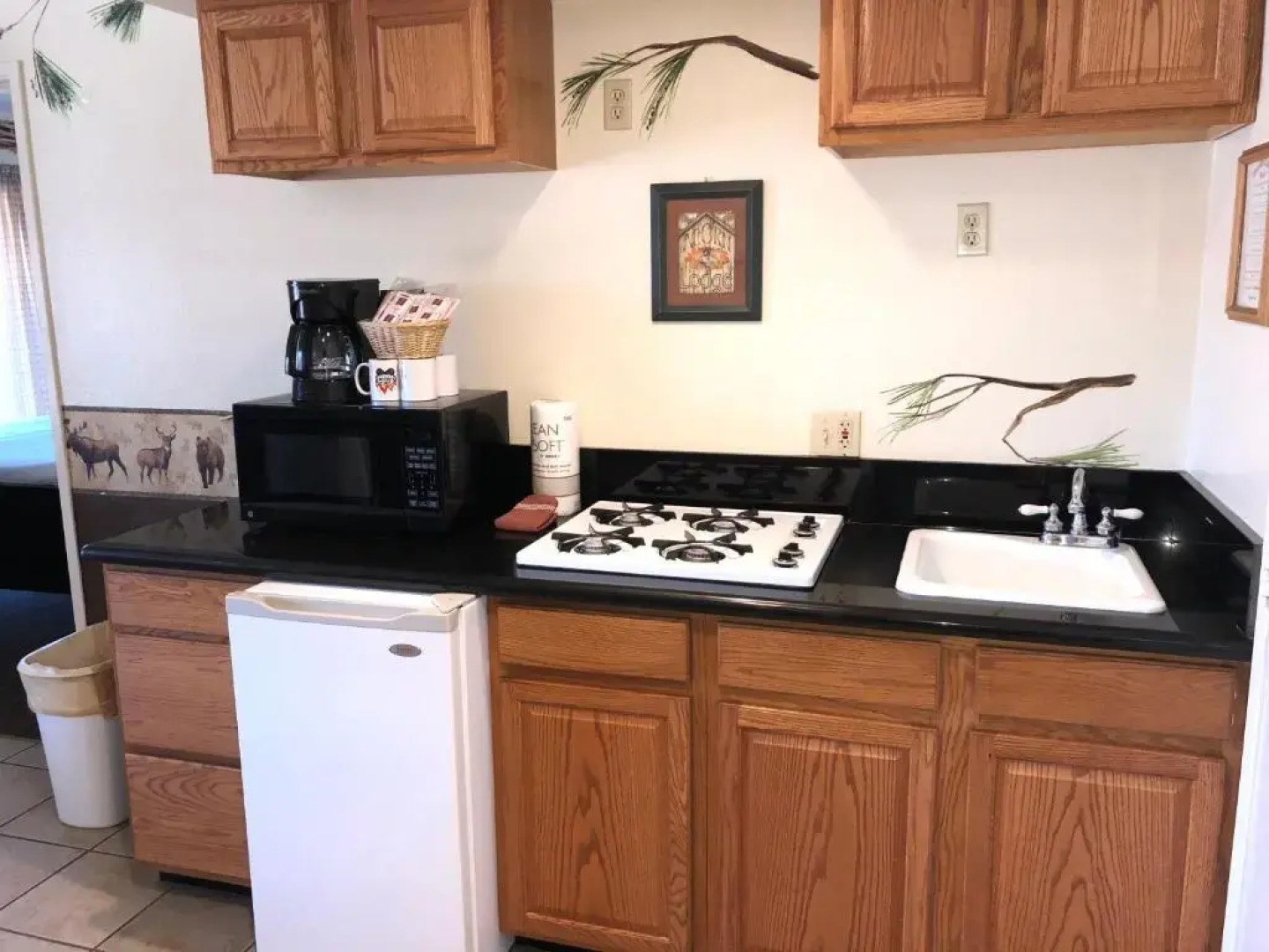 Rodeway Inn & Suites Fireside Lodge