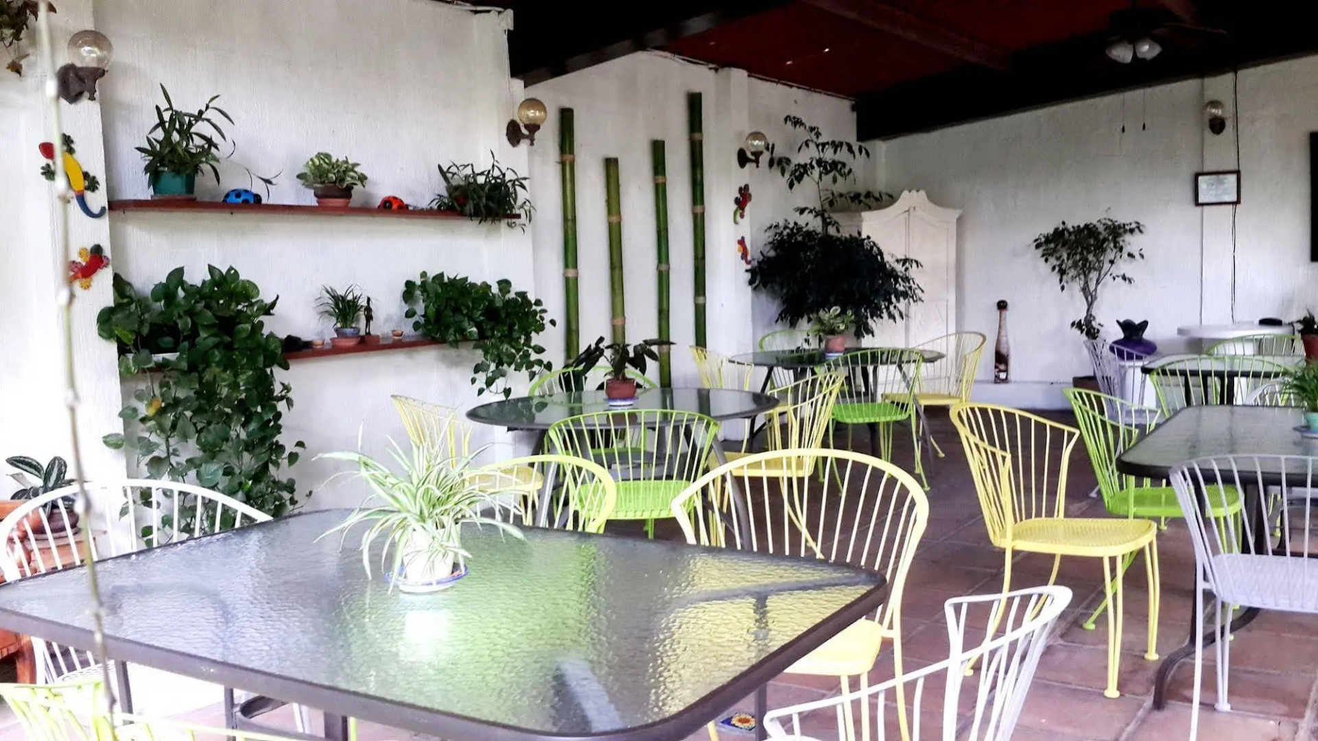 Árbol de Fuego Eco-hotel, a green experience in the city