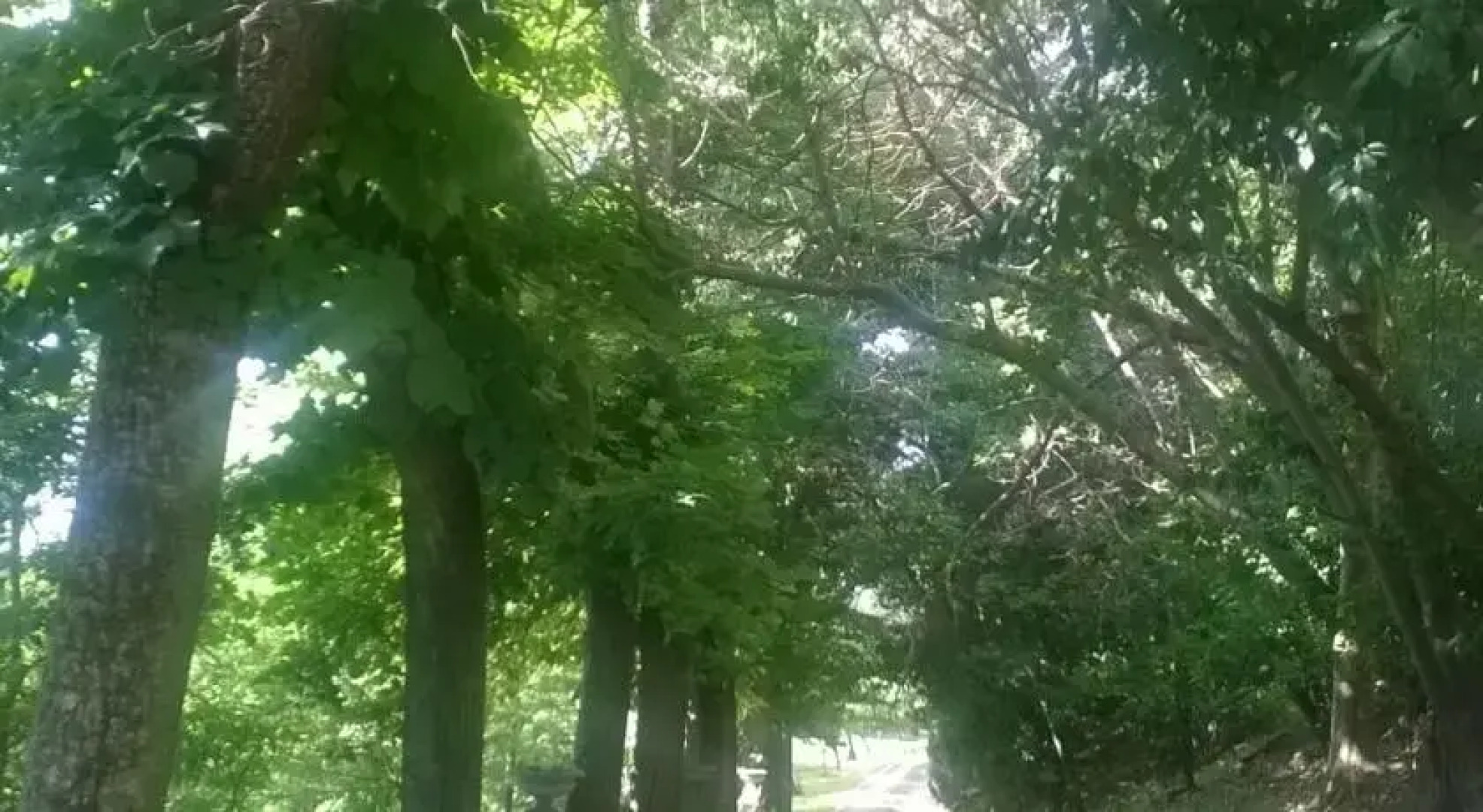 Il Giardino e la Dimora