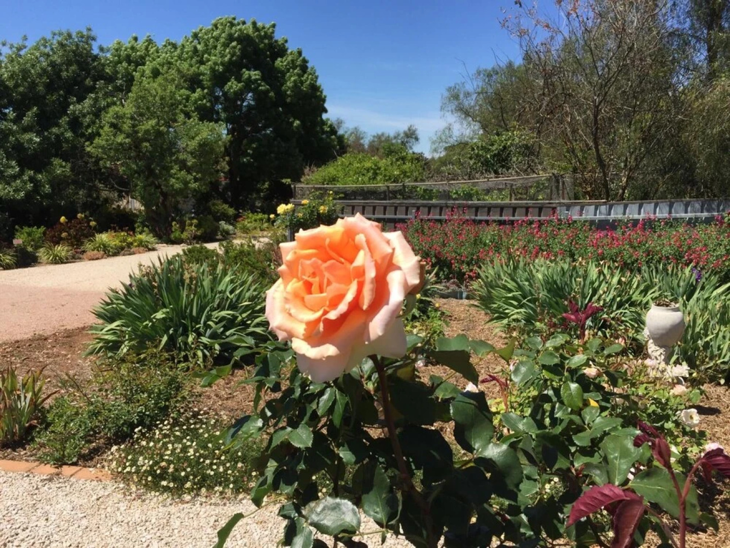 Lyreen's Apartment B&B