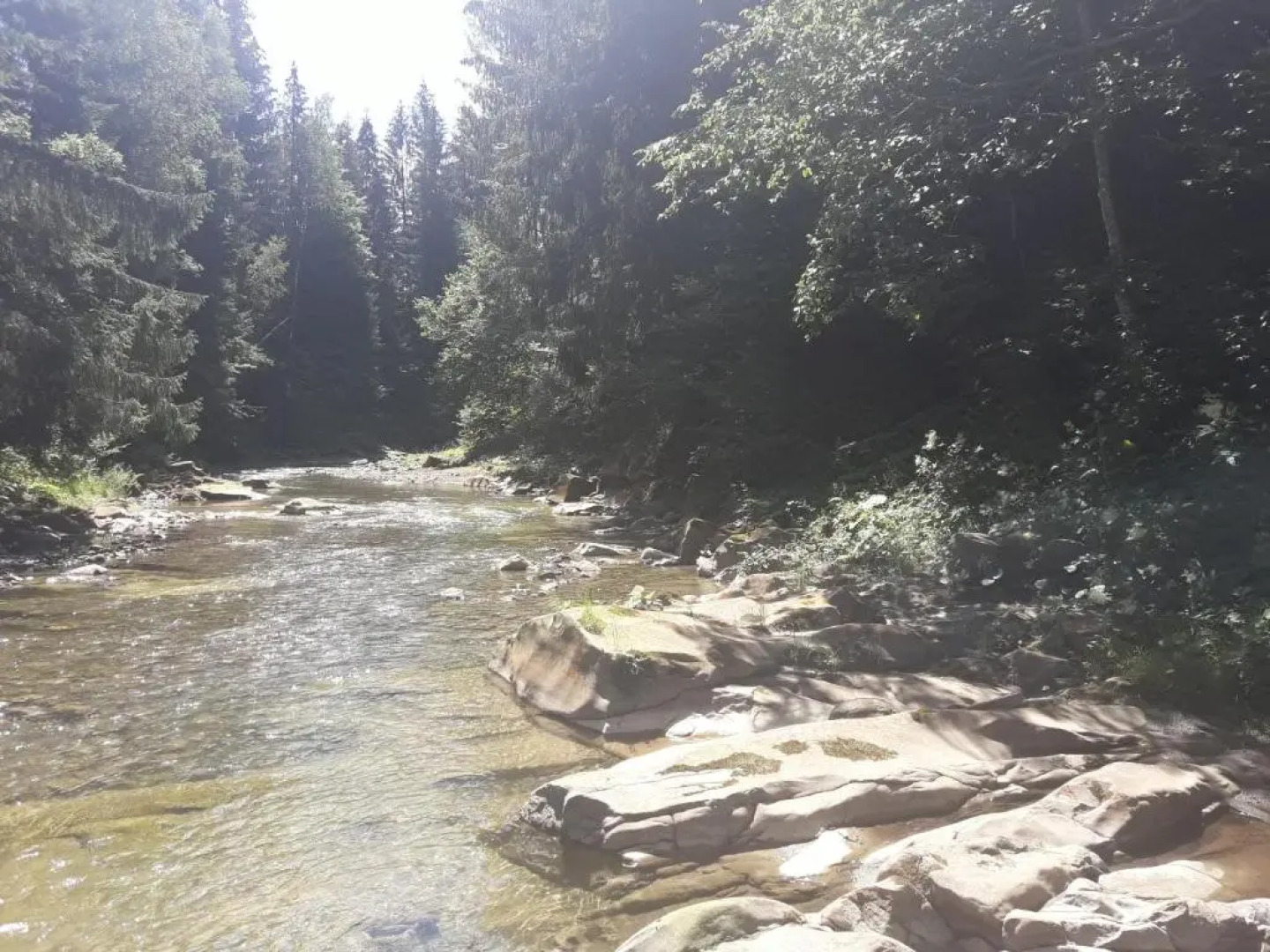 U Anastasii i Sofii bilya richki